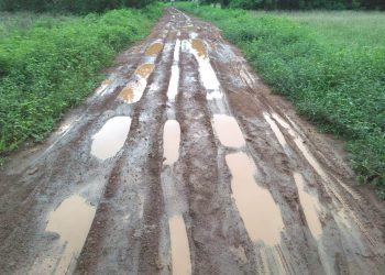 Road turns nightmare for Gania villagers