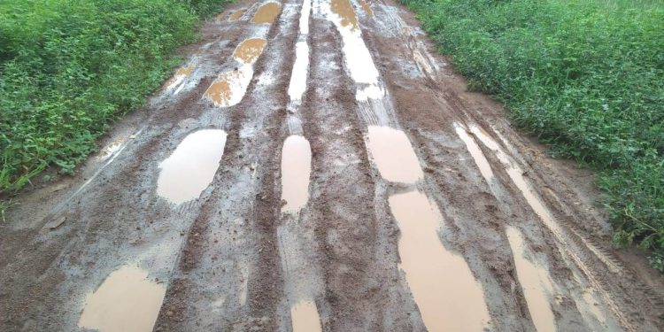 Road turns nightmare for Gania villagers