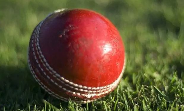 Earley Cricket Club in Reading a town 40 miles (64 kilometres) west of London had already introduced a vegan tea for their players.