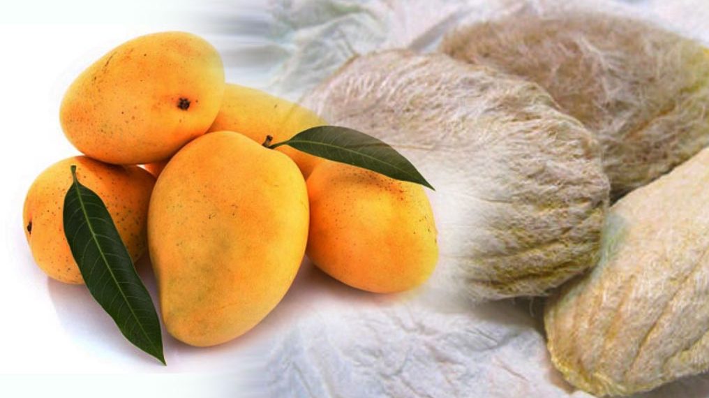 Amazing health benefits of mango kernel OrissaPOST