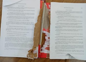 The torn up copy of the Indian Constitution.