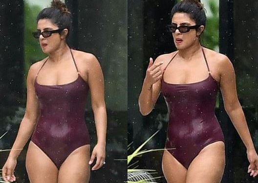 Jaw-dropping pictures of Priyanka Chopra in a monokini go viral