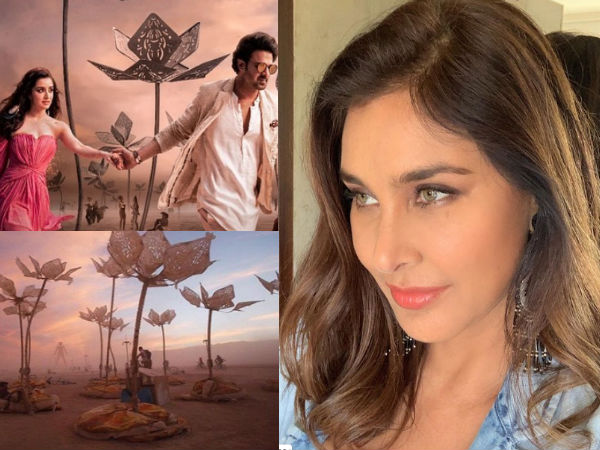 Lisa Ray accuses 'Saaho' makers of plagiarism