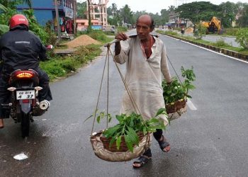 Planting saplings the sole mission of Golaka Bihari