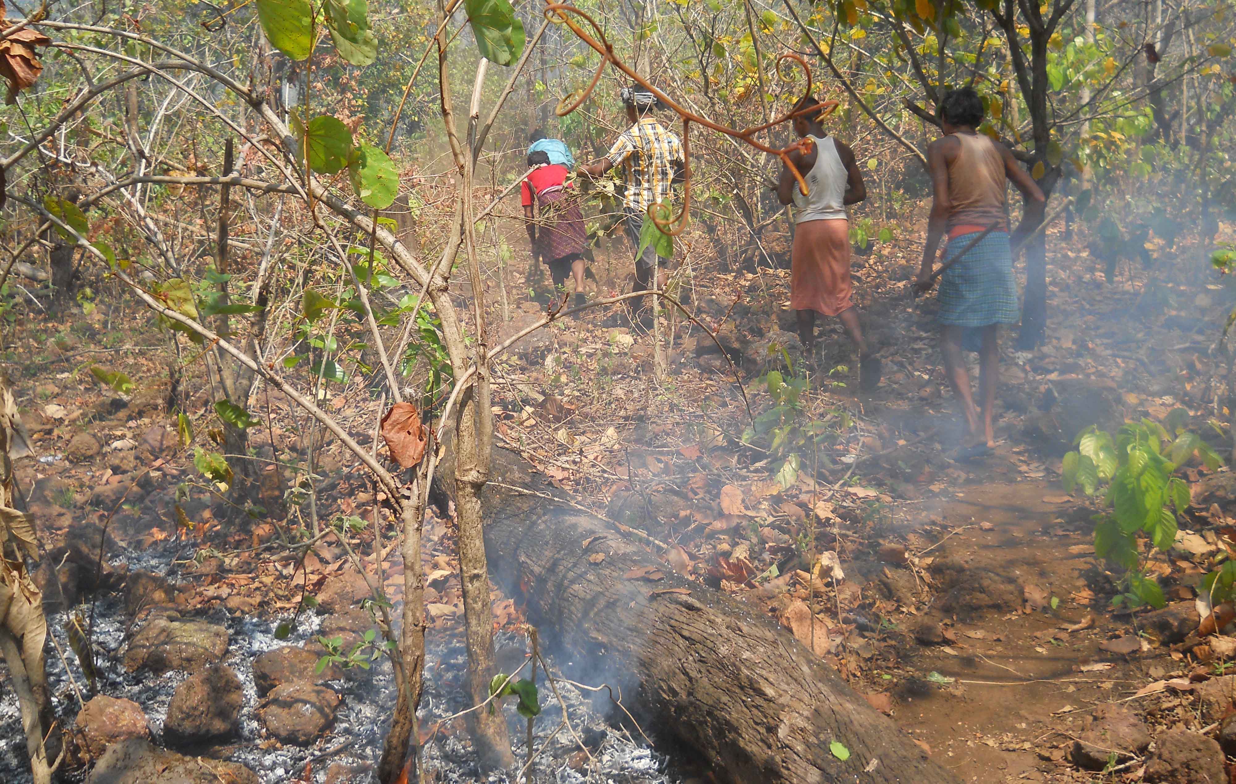 Community members extinguishing fire in jungle