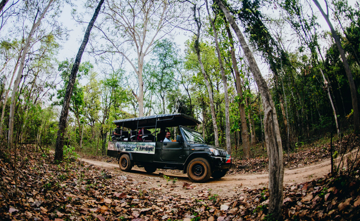 Jungle Safari at Deras Nature camp