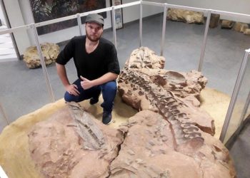 Scientist Rick Tolchard studying rauisuchians in the Geological Survey in Namibia. Credit: Helke Mocke