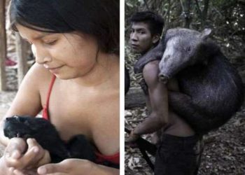 Here women tend animals by feeding them milk