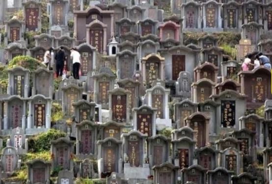You have spend crores here to bury your dead