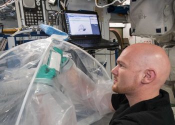 The researchers examined cement solidification to understand how the chemistry and microscopic structures involved in the process changed under microgravity.