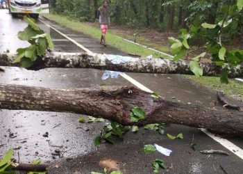 Maoists call 24-hr Odisha bandh, block roads in Kandhamal