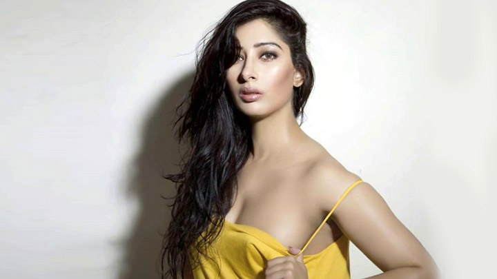 Sooryavanshi will be a gamechanger for her feels actress Niharica Raizada -  OrissaPOST