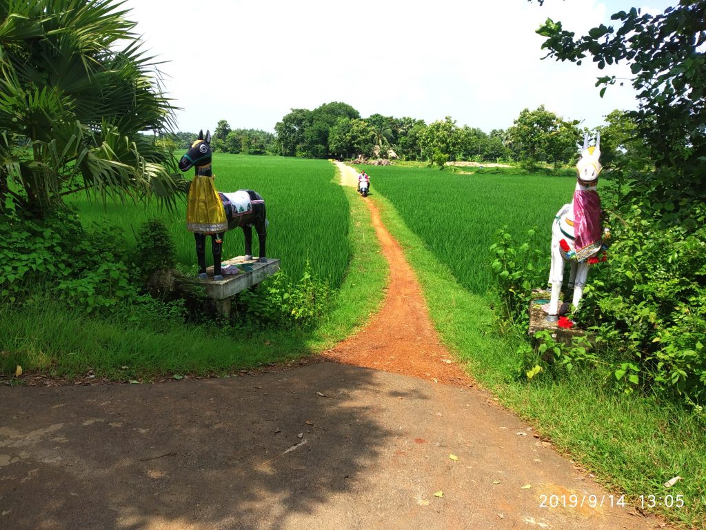 Maa Tarasuni Peetha wallows in neglect