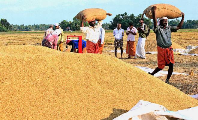 New guidelines confuse farmers
