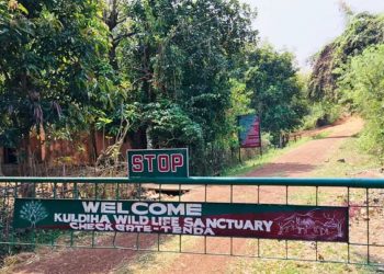 Kuladiha set to welcome tourist