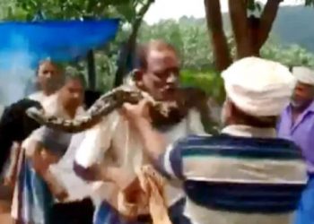Horrifying video of python choking a man will give you nightmares