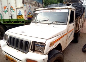 Timber-laden pick-up van seized in Balasore