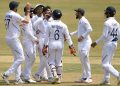 Ravindra Jadeja celebrates with teammates the wicket of South Africa's Aiden Markram on the final day of the first cricket Test match between India and South Africa