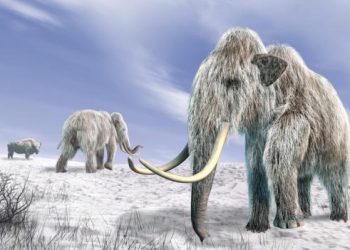New evidence into what triggered extinction of Ice Age animals