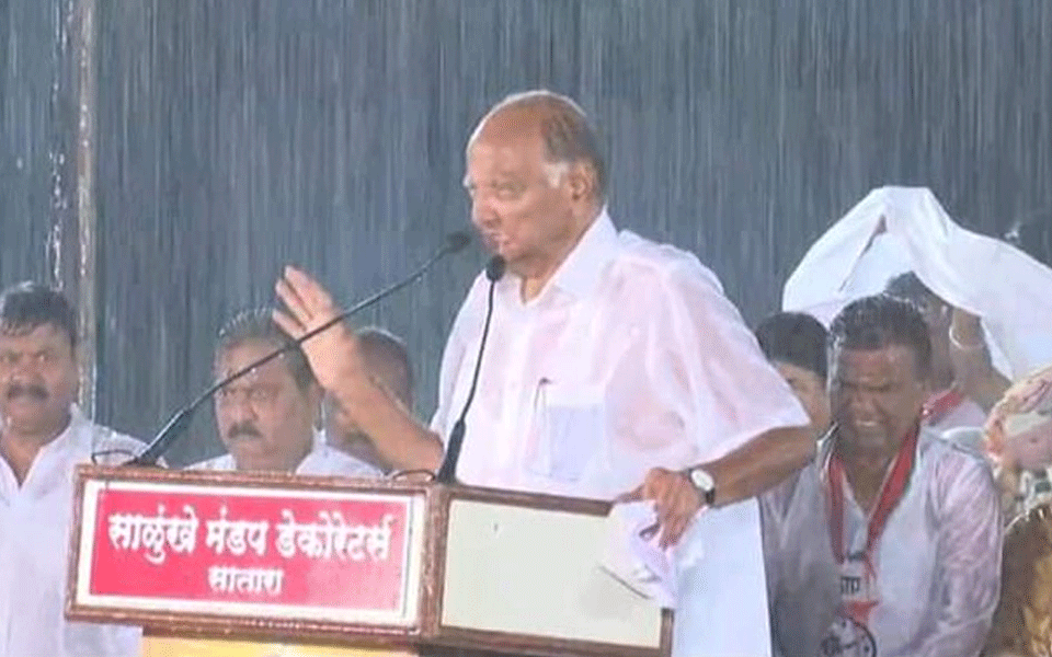 Watch: Stunning videos of Sharad Pawar addressing rally in pouring rain goes viral - OrissaPOST Watch: Stunning videos of Sharad Pawar addressing rally in pouring rain goes viral - OrissaPOST