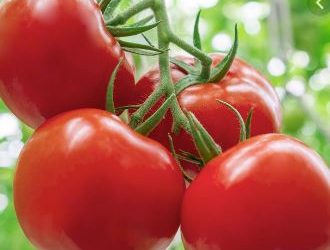 Tomato CCTV