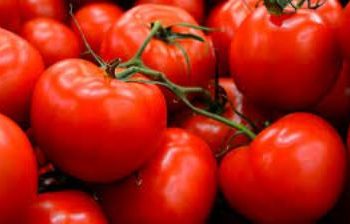 Humble tomato a day can boost your virility