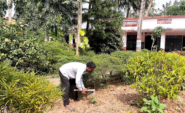 Teacher raises ‘mini jungle’ for his school