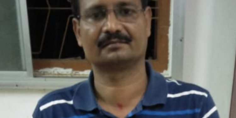 Video on graft: Badashi IIC transferred