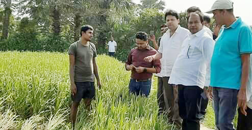 MLA, officials assess crop loss