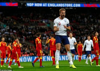 Harry Kane celebrates after scoring a goal