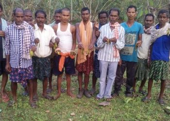 Telkoi silk farmers in jeopardy