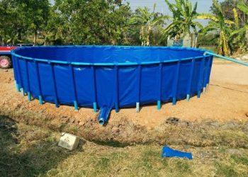 This engineer quit his corporate job to start ‘biofloc’ fish farming