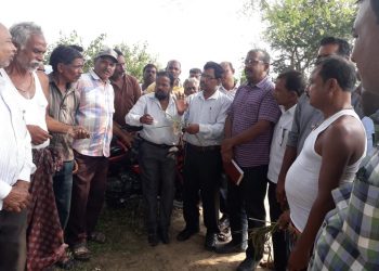 Farmers jittery over neck blast of paddy