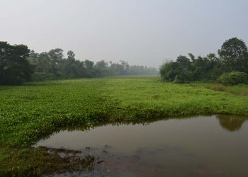 'Dead' river Sukapaika screams for revival