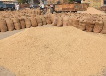 New system of paddy procurement problematic for Sundargarh farmers