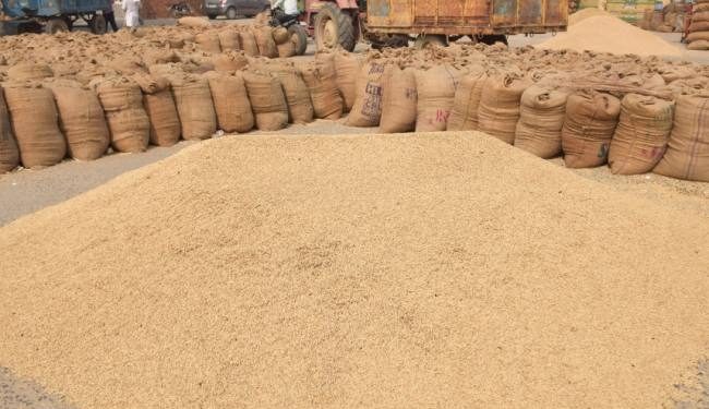 New system of paddy procurement problematic for Sundargarh farmers
