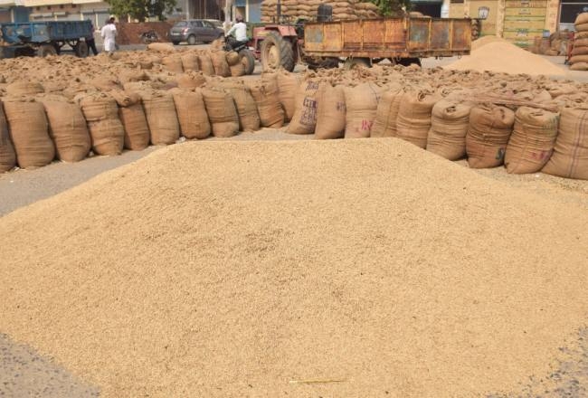 New system of paddy procurement problematic for Sundargarh farmers