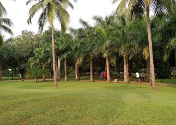 File photo of Forest Park in Bhubaneswar