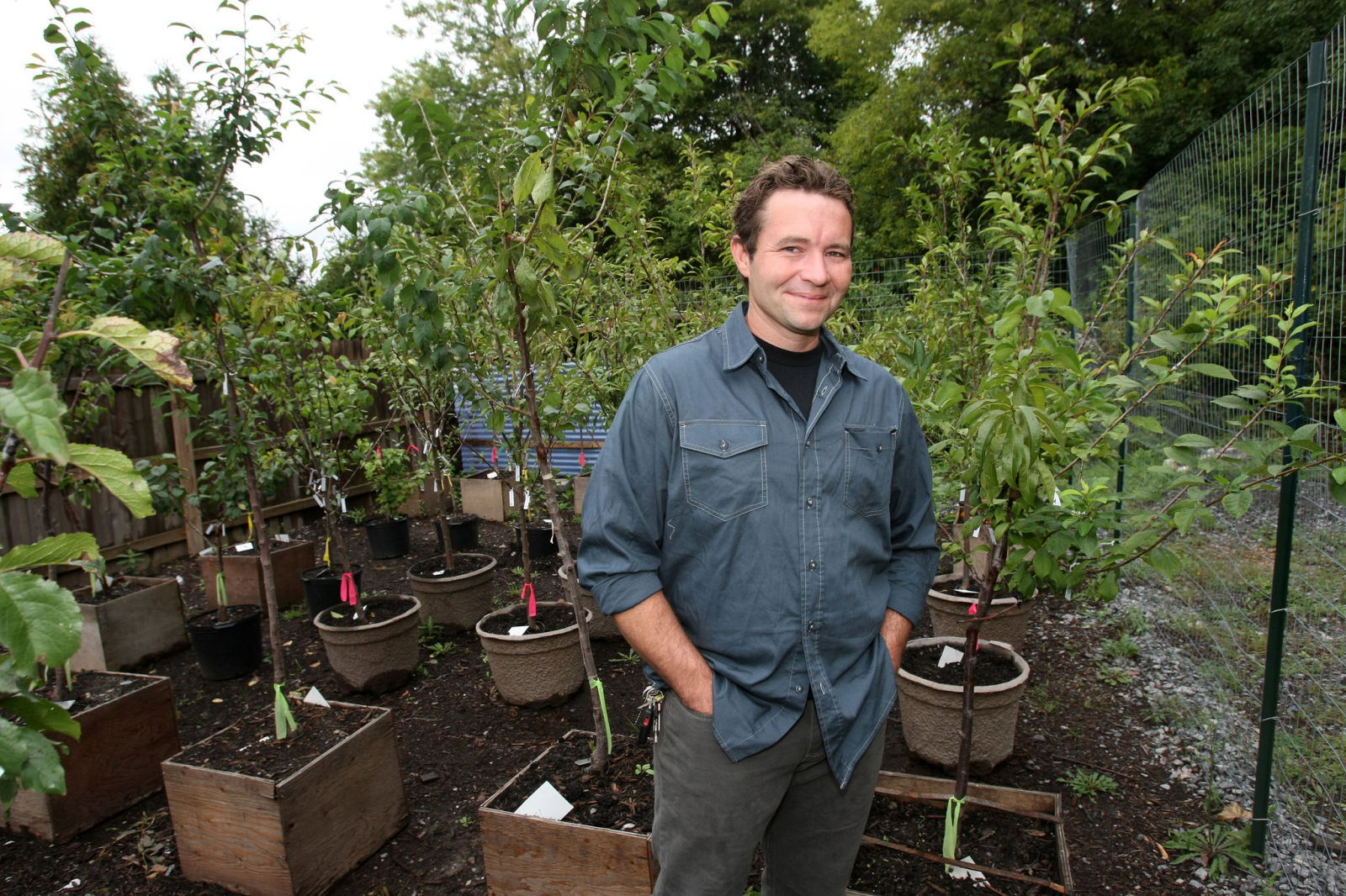 This tree grows 40 different kinds of fruits