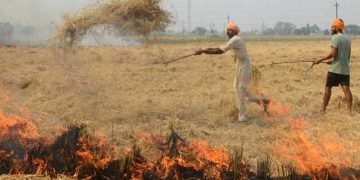 stubble burning