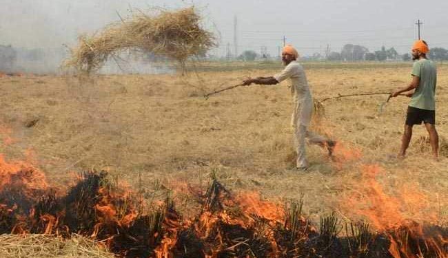 stubble burning
