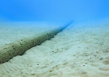 Undersea telecom cables can detect earthquakes: Study