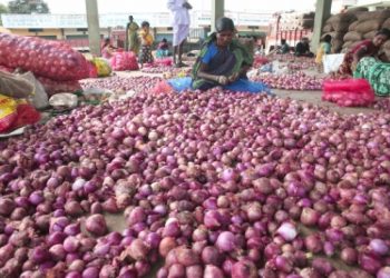 Onion prices four times higher than last year