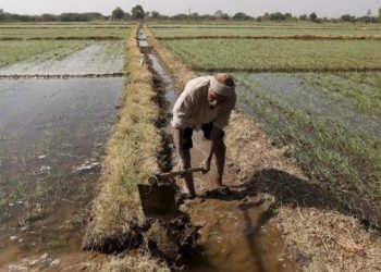 Amid slow economic growth, govt committed to doubling farmers' income by 2022