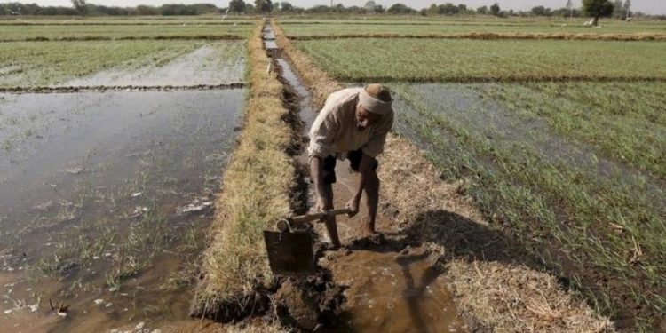 Amid slow economic growth, govt committed to doubling farmers' income by 2022