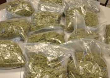 349kg cannabis seized in Koraput, three arrested