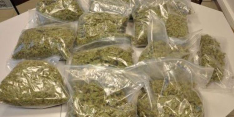 349kg cannabis seized in Koraput, three arrested