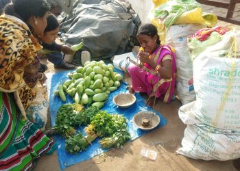 Shakuntala does not use any fertiliser but only natural manure to grow vegetables