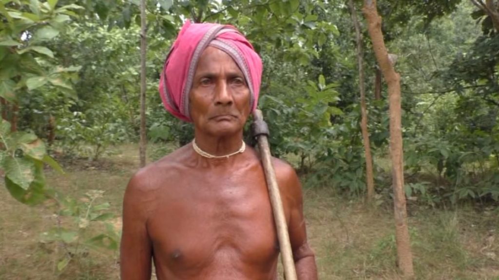 Salute to the octogenarian guardian of forests