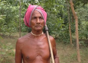 Salute to the octogenarian guardian of forests